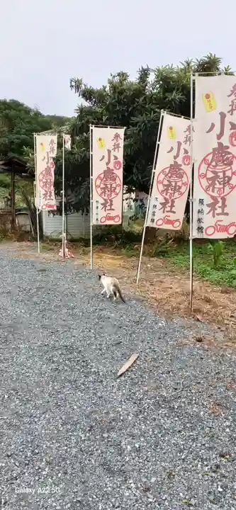 小鹿神社(埼玉県)