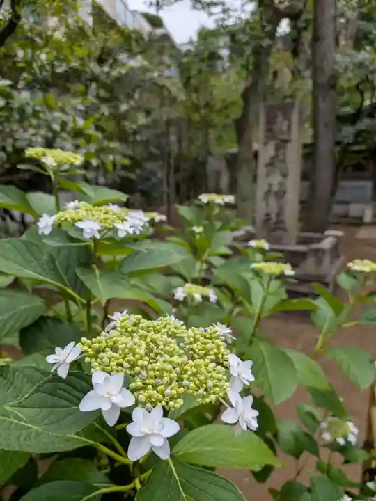 白金氷川神社(東京都)