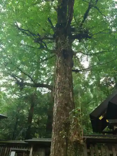 天岩戸神社(宮崎県)