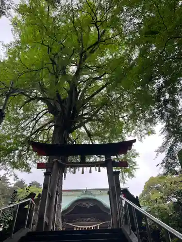下総国三山　二宮神社(千葉県)