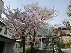 東照寺の自然