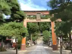 櫻山八幡宮の鳥居