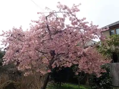 荏柄天神社(神奈川県)