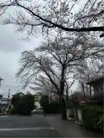 旭鎮守八幡神社(神奈川県)