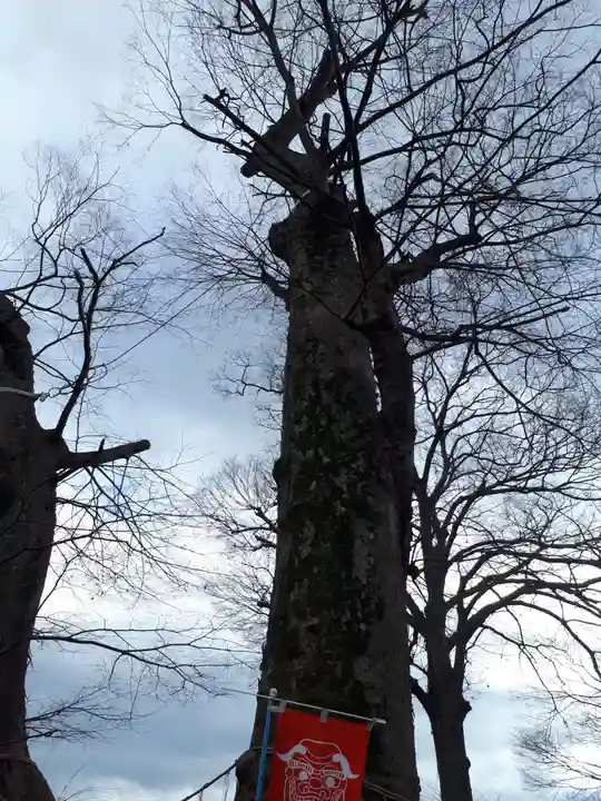 八枝神社の自然
