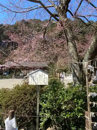 高麗神社のその他建物