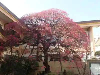 とげぬき地蔵尊 高岩寺の御朱印