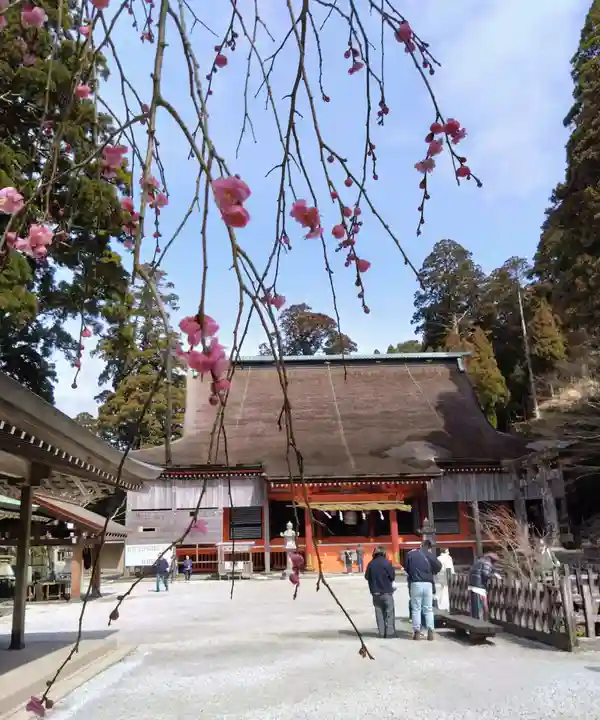 英彦山神宮(福岡県)