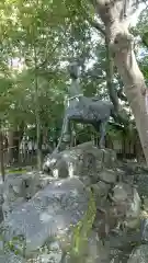 若宮神明社の狛犬