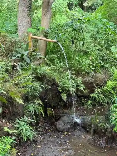 明王院（満願寺別院）の庭園