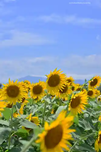 諏訪明神(神奈川県)