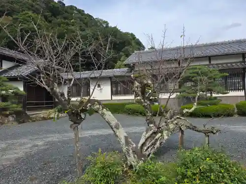 山王宮日吉神社(京都府)