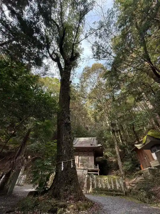 八幡神社松平東照宮の{uncategorized: "未分類", other: "その他", undefined: "問題あり", building: "その他建物", grave: "お墓", sacred_gate: "鳥居", guardian: "狛犬", statue: "像", buddha: "仏像", history: "歴史", nature: "自然", garden: "庭園", animal: "動物", pagoda: "塔", temizu: "手水舎", mountain_gate: "山門・神門", sanctuary: "本殿・本堂", subordinate: "末社・摂社", art: "芸術", scenery: "景色", jizo: "地蔵", ema: "絵馬", goshuin: "御朱印", omikuji: "おみくじ", items: "授与品その他", amulet: "お守り", goshuincho: "御朱印帳", eats: "食事", festival: "お祭り", votive_dance: "神楽", shichigosan: "七五三参", wedding: "結婚式", experience: "体験その他", initially: "初詣", around: "周辺", anti_infection: "感染症対策"}