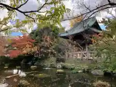 西新井大師総持寺(東京都)