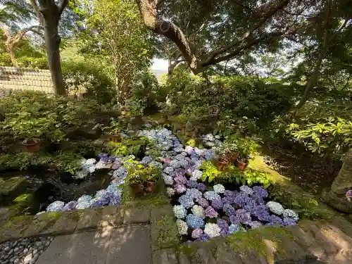 長谷寺の庭園