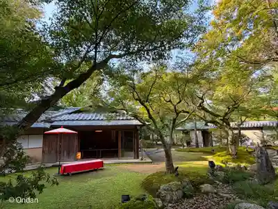 高台寺（高台寿聖禅寺・高臺寺）(京都府)