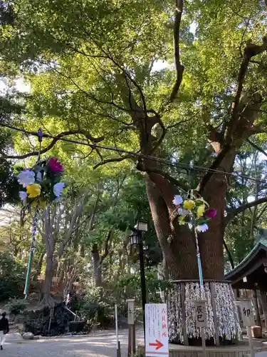 平塚八幡宮の自然