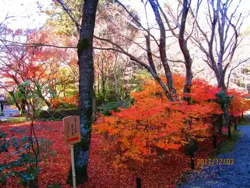 常照寺の自然