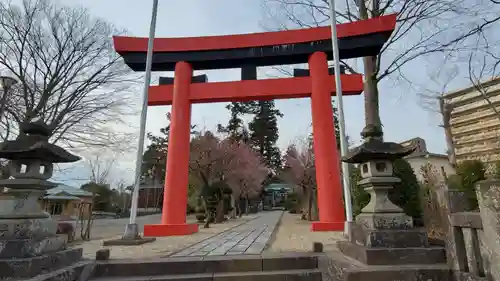 新橋浅間神社の鳥居