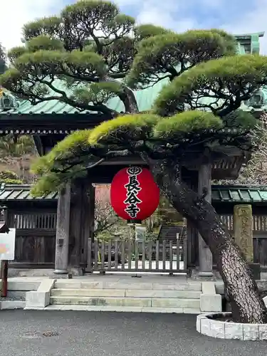 長谷寺(神奈川県)