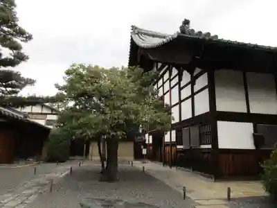 大徳寺(京都府)