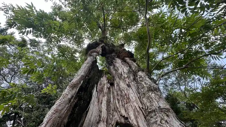 森本神社(兵庫県)