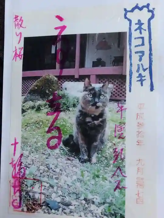 十輪寺(京都府)