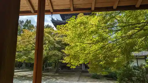 真正極楽寺（真如堂）(京都府)