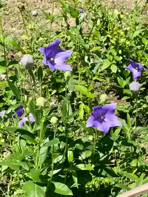 城南宮(京都府)