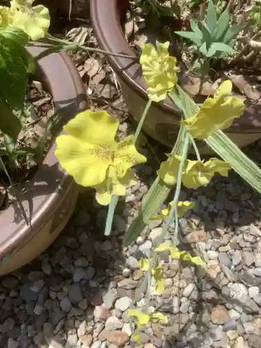 三輪神社の自然