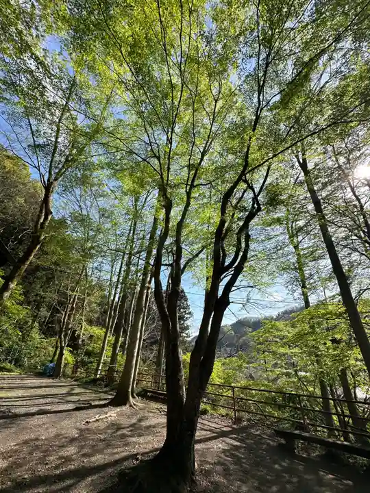 御室社(東京都)