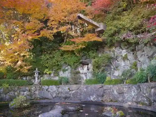 善峯寺の庭園