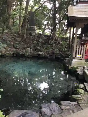 泉神社の自然