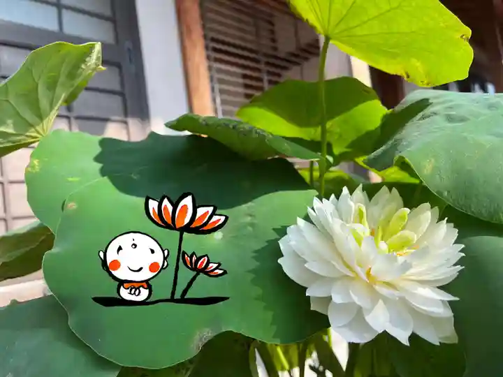 松本山 地福禅寺(滋賀県)