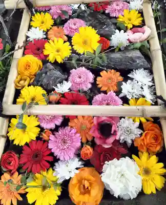 札幌護國神社の手水舎