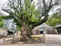 難波神社(大阪府)