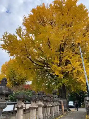 上野東照宮(東京都)