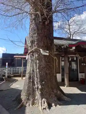 八幡宮(神奈川県)