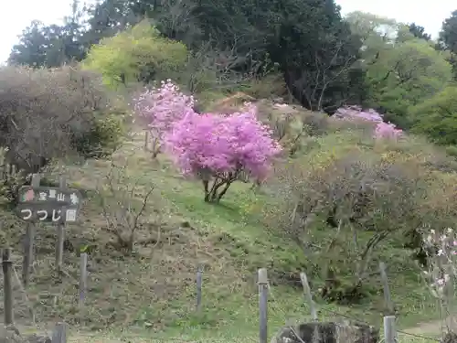 宝登山神社奥宮(埼玉県)