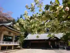 上地八幡宮の自然