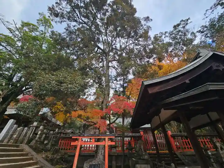 手向山八幡宮(奈良県)
