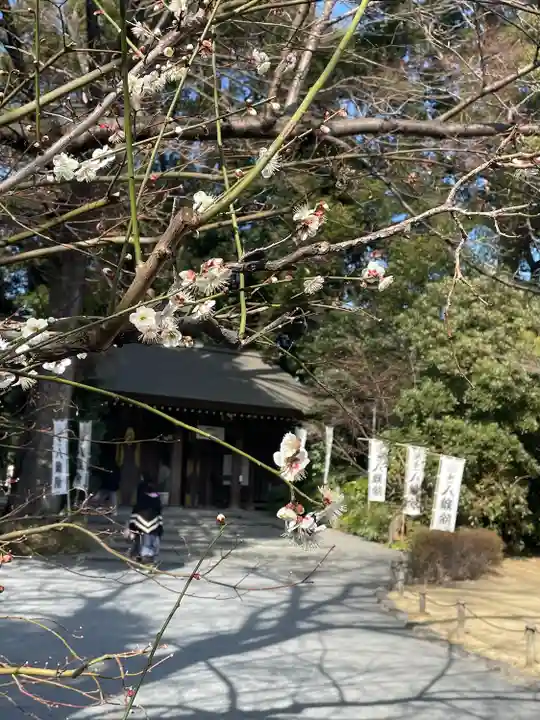 阿佐ヶ谷神明宮(東京都)