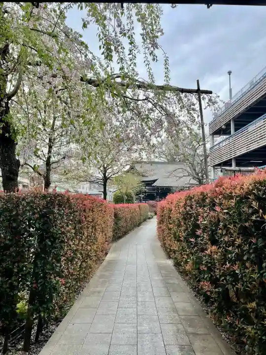 西雲寺の{uncategorized: "未分類", other: "その他", undefined: "問題あり", building: "その他建物", grave: "お墓", sacred_gate: "鳥居", guardian: "狛犬", statue: "像", buddha: "仏像", history: "歴史", nature: "自然", garden: "庭園", animal: "動物", pagoda: "塔", temizu: "手水舎", mountain_gate: "山門・神門", sanctuary: "本殿・本堂", subordinate: "末社・摂社", art: "芸術", scenery: "景色", jizo: "地蔵", ema: "絵馬", goshuin: "御朱印", omikuji: "おみくじ", items: "授与品その他", amulet: "お守り", goshuincho: "御朱印帳", eats: "食事", festival: "お祭り", votive_dance: "神楽", shichigosan: "七五三参", wedding: "結婚式", experience: "体験その他", initially: "初詣", around: "周辺", anti_infection: "感染症対策"}