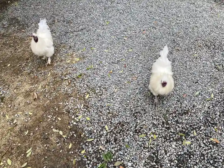 高屋敷稲荷神社(福島県)