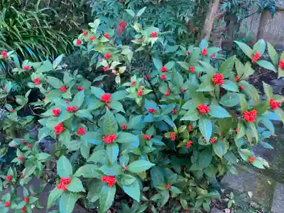 荏柄天神社(神奈川県)