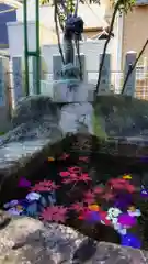 秋葉神社の手水