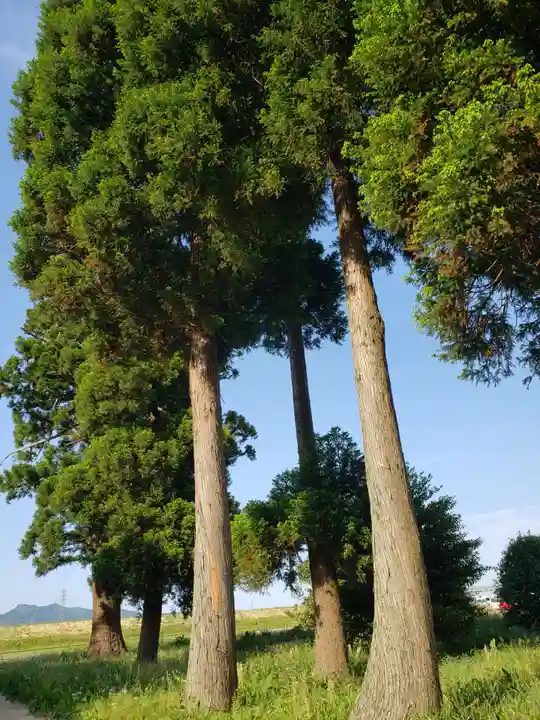 大源神社の周辺