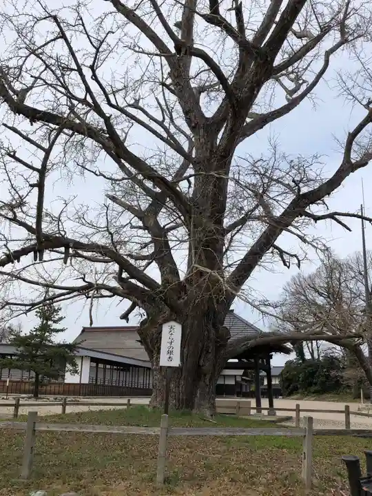 勝興寺(富山県)