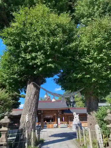 亀ケ池八幡宮の山門・神門