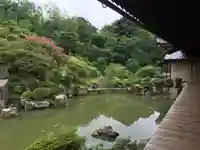 智積院の庭園
